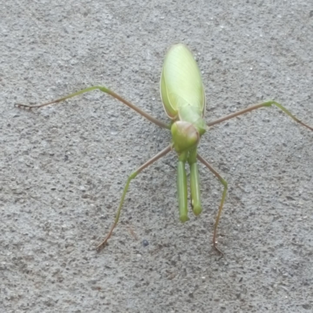 Meet your Posher, Donnalynn